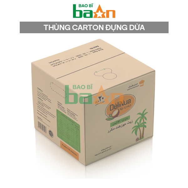 Thùng carton đựng dừa