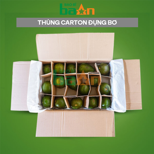 Thùng carton đựng Bơ xuất khẩu