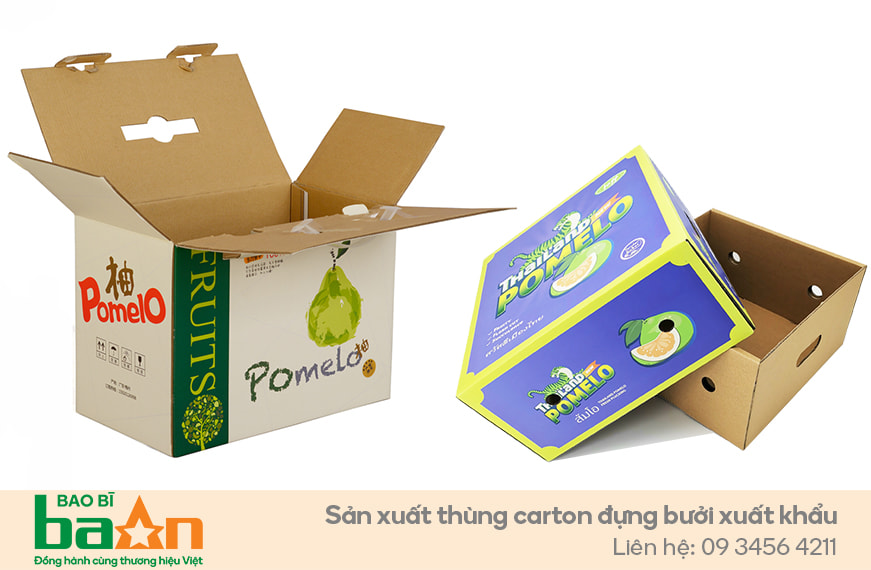 Thùng carton đựng bưởi xuất khẩu