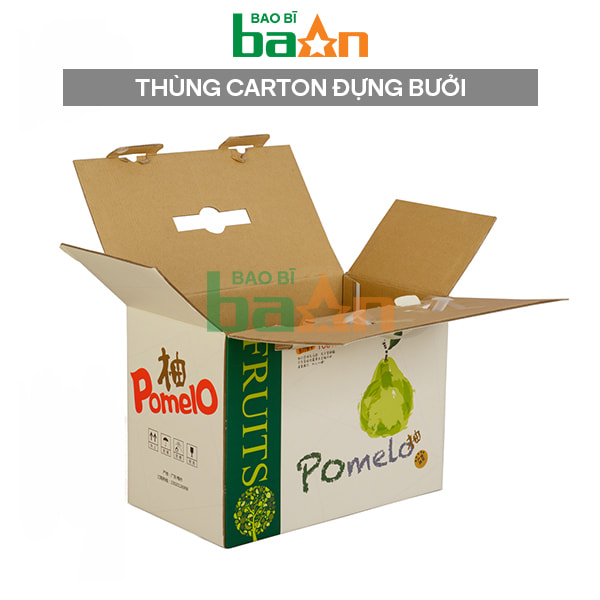 Thùng carton đựng bưởi xuất khẩu