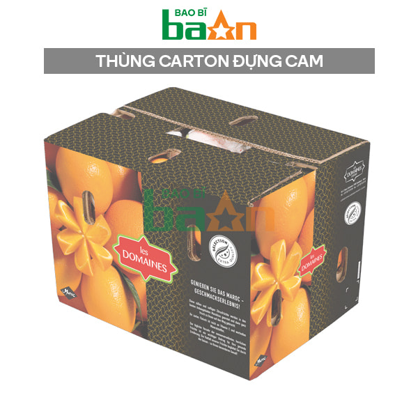 Thùng carton đựng cam xuất khẩu