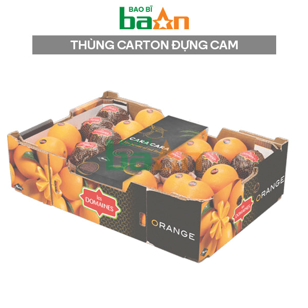 Thùng carton đựng cam xuất khẩu