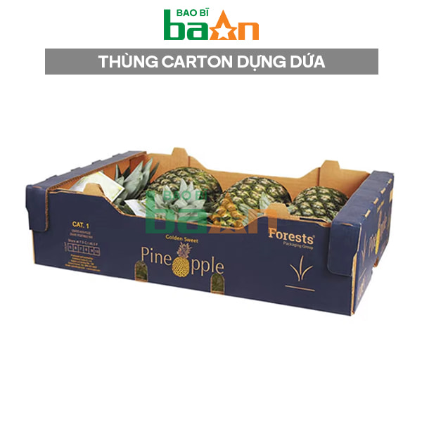 Thùng Carton đựng dứa