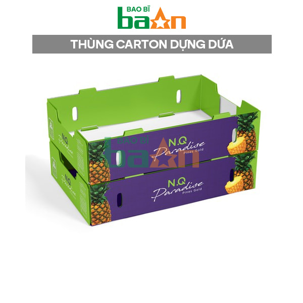 Thùng Carton đựng dứa