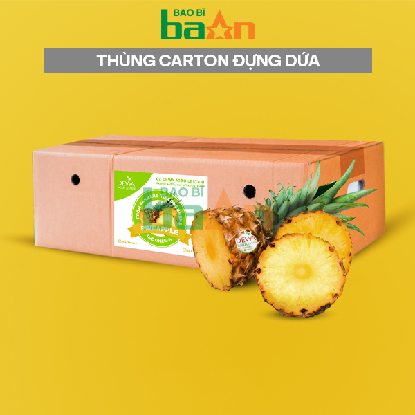 Thùng carton đựng dứa