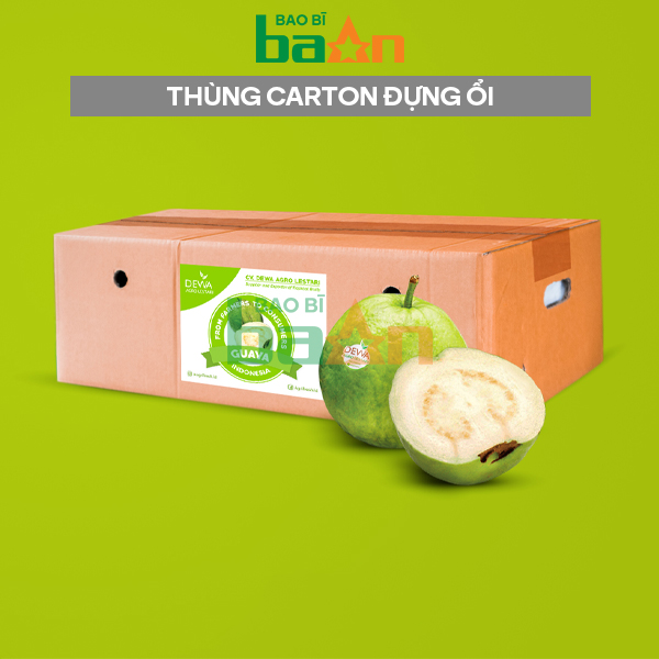 Thùng carton đựng ổi xuất khẩu