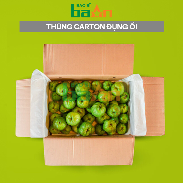 Thùng carton đựng ổi xuất khẩu