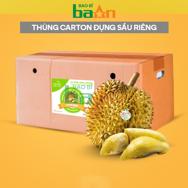 Thùng carton đựng sầu riêng xuất khẩu