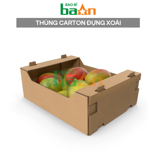 Thùng carton đựng xoài