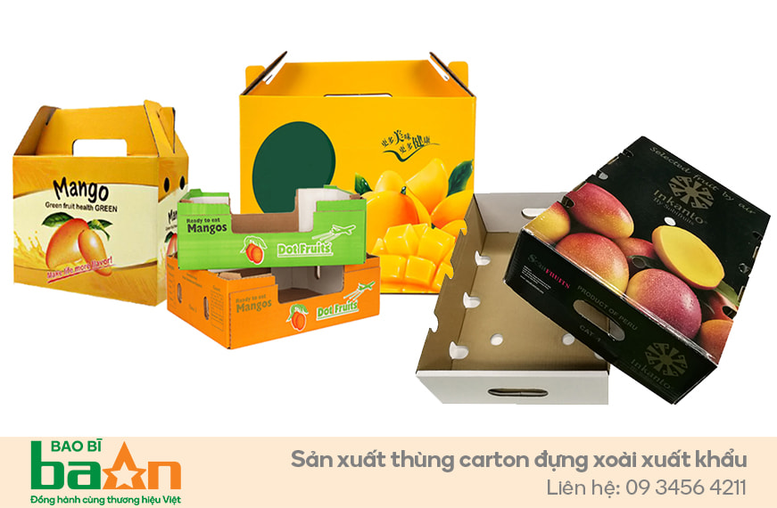 Thùng carton đựng xoài