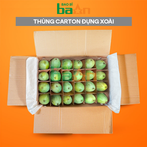 Thùng carton đựng xoài